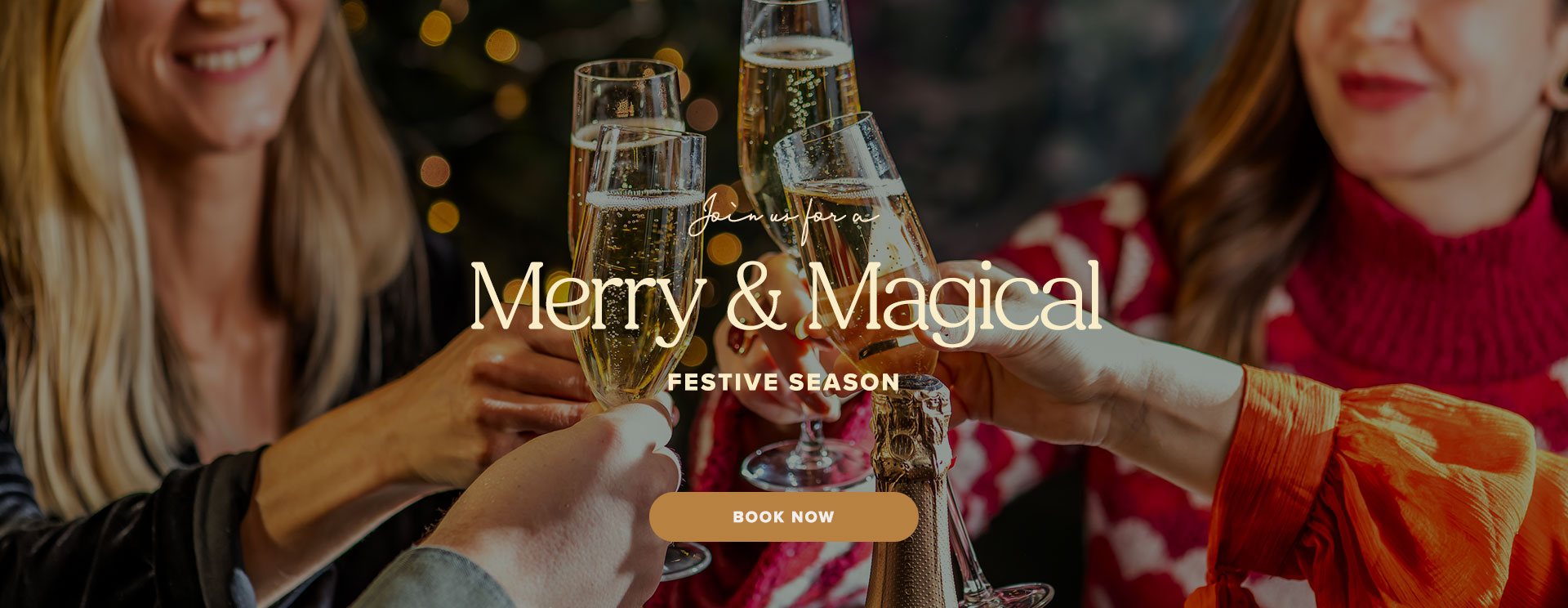 Christmas 2025 at Piccotts End